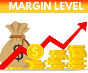 What is Margin Level?