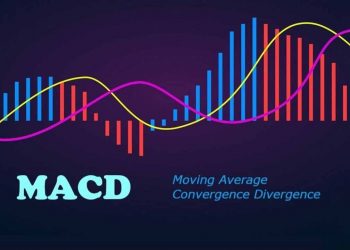How to Use the MACD Indicator