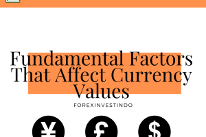 Fundamental Factors That Affect Currency Values