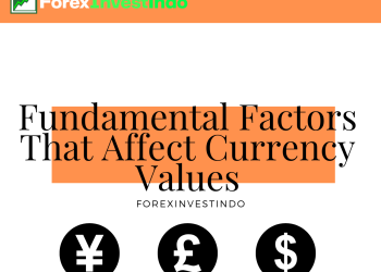 Fundamental Factors That Affect Currency Values