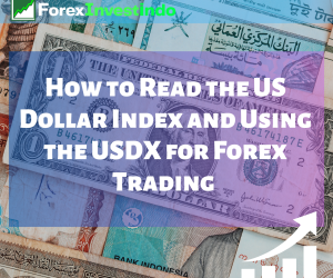 How to Read the US Dollar Index and Using the USDX for Forex Trading