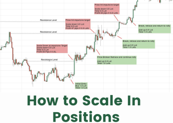 how to scale in positions